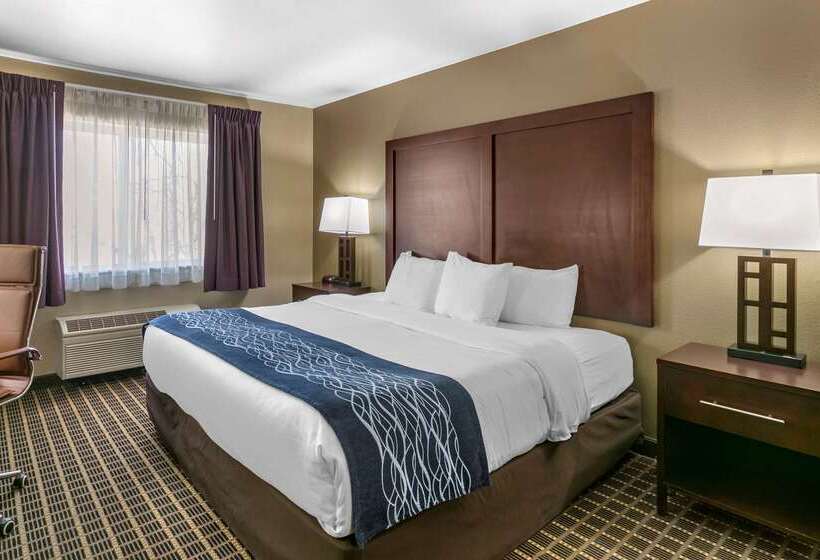 فندق Comfort Inn Fort Collins North