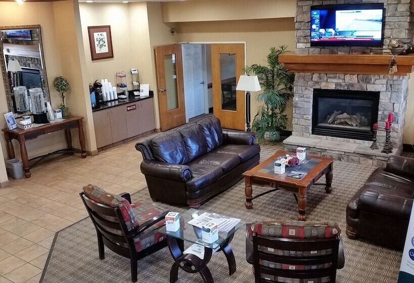 فندق Comfort Inn Fort Collins North