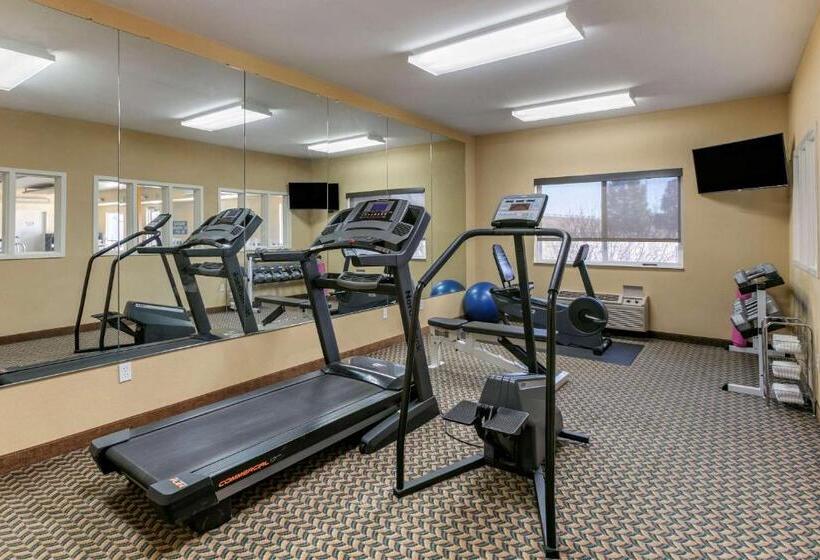 فندق Comfort Inn Fort Collins North