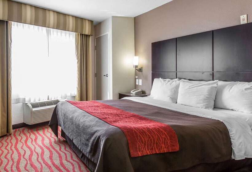 בית מלון כפרי Comfort Inn Los Angeles Near Hollywood