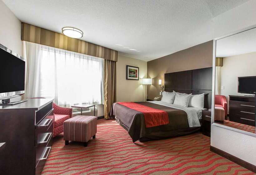 فندق Comfort Inn Los Angeles Near Hollywood
