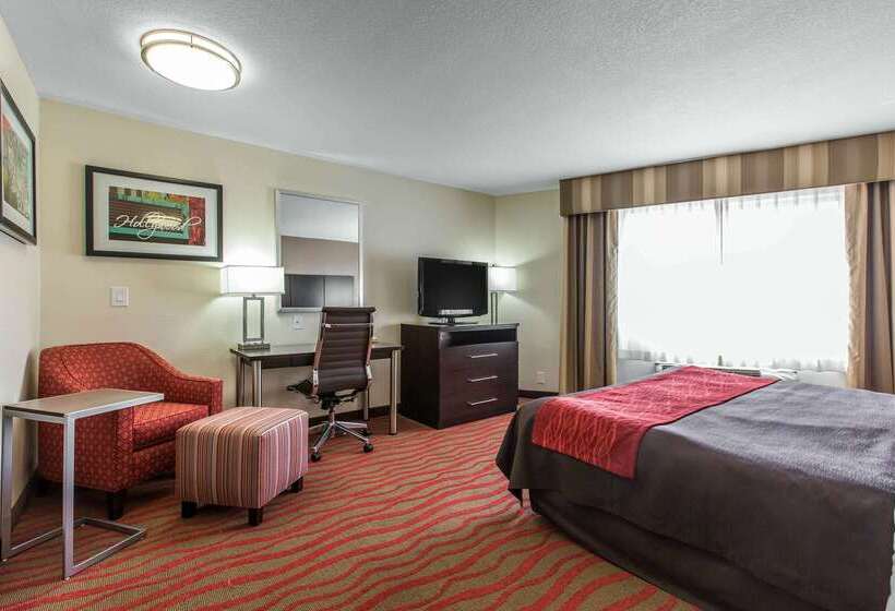 فندق Comfort Inn Los Angeles Near Hollywood