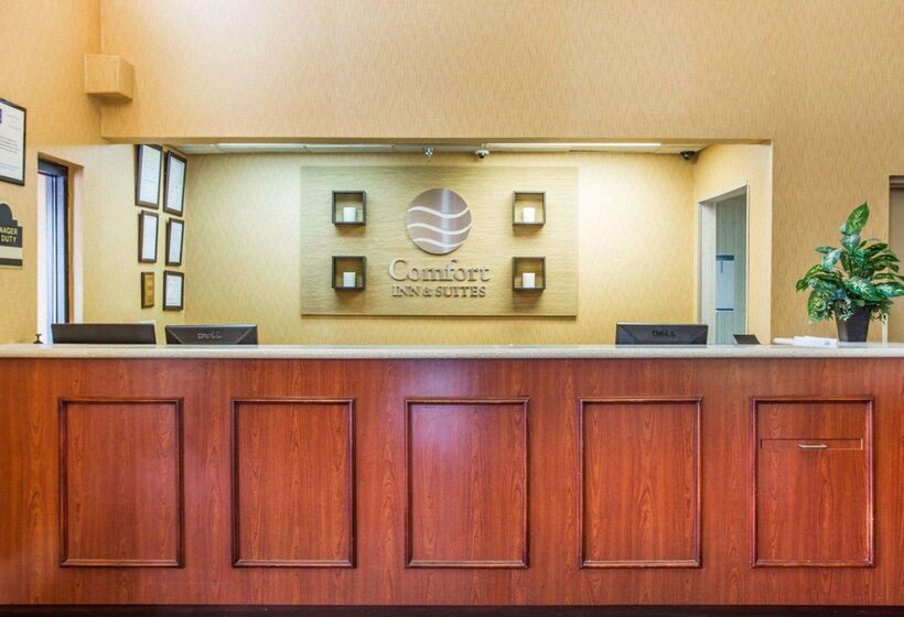 فندق Comfort Inn & Suites At Stone Mountain