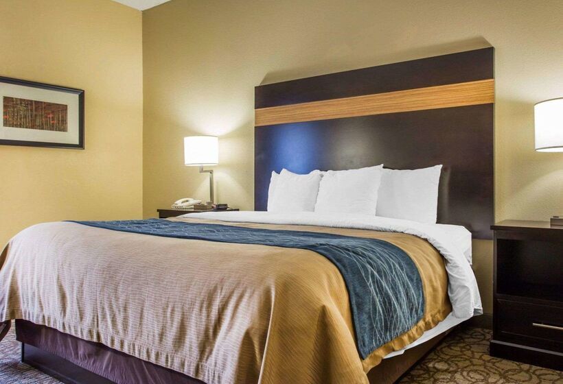 فندق Comfort Inn & Suites At Stone Mountain