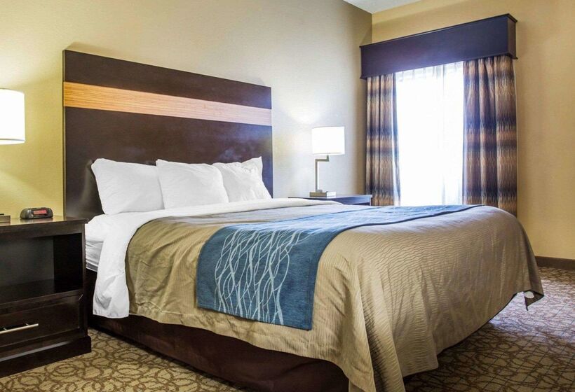 ホテル Comfort Inn & Suites At Stone Mountain