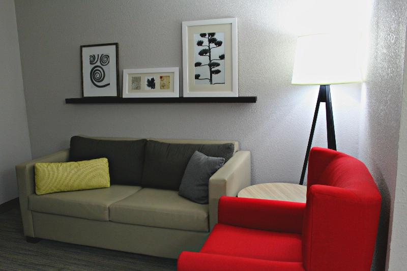 فندق Comfort Inn & Suites Cartersville   Emerson Lake Point