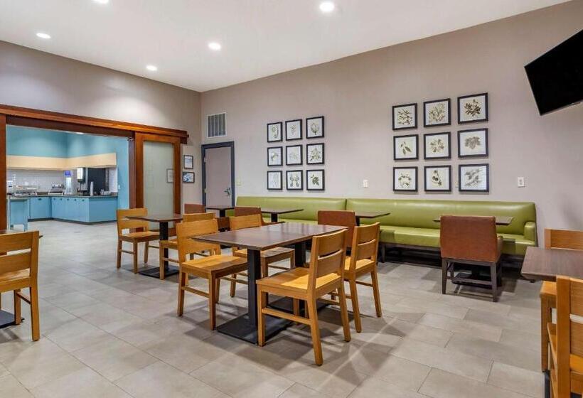 فندق Comfort Inn & Suites Cartersville   Emerson Lake Point