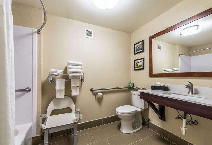 ホテル Comfort Inn & Suites Dayton North