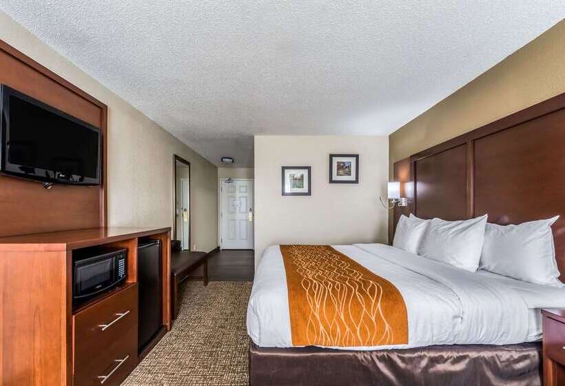 ホテル Comfort Inn & Suites Dayton North