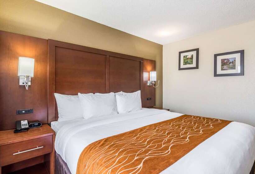 ホテル Comfort Inn & Suites Dayton North