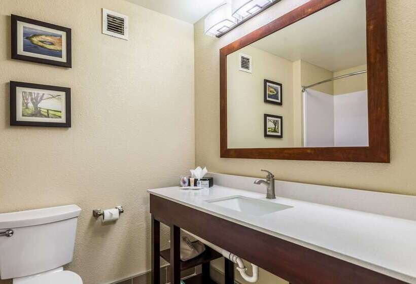 ホテル Comfort Inn & Suites Dayton North