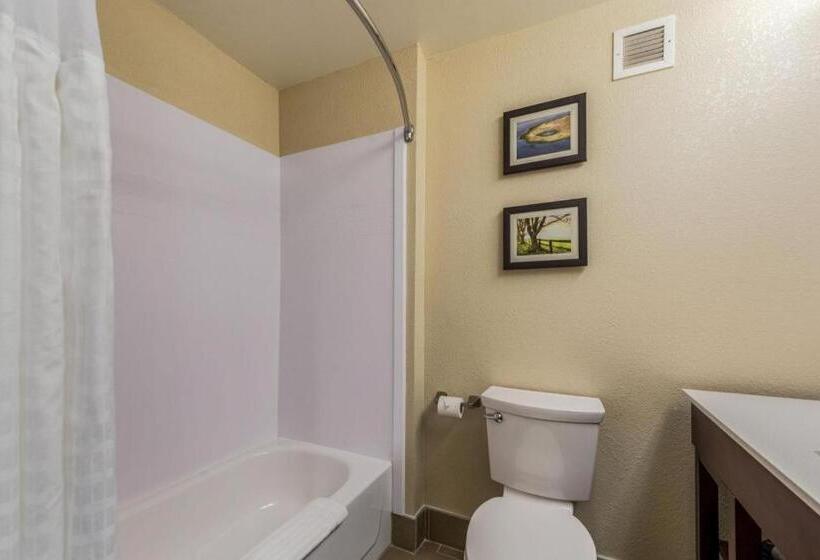 ホテル Comfort Inn & Suites Dayton North