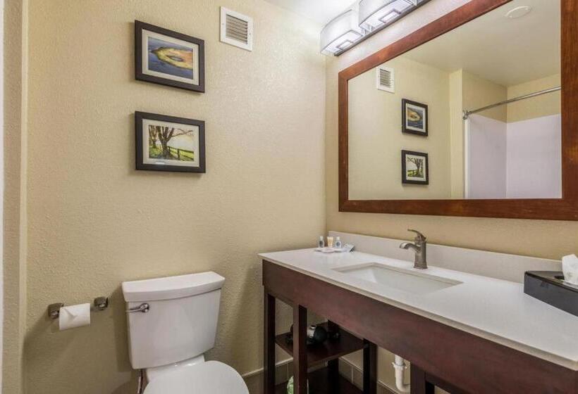 ホテル Comfort Inn & Suites Dayton North