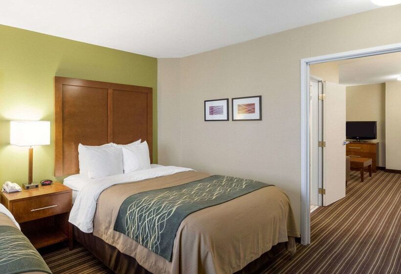 فندق Comfort Inn & Suites Fayettevilleuniversity Area