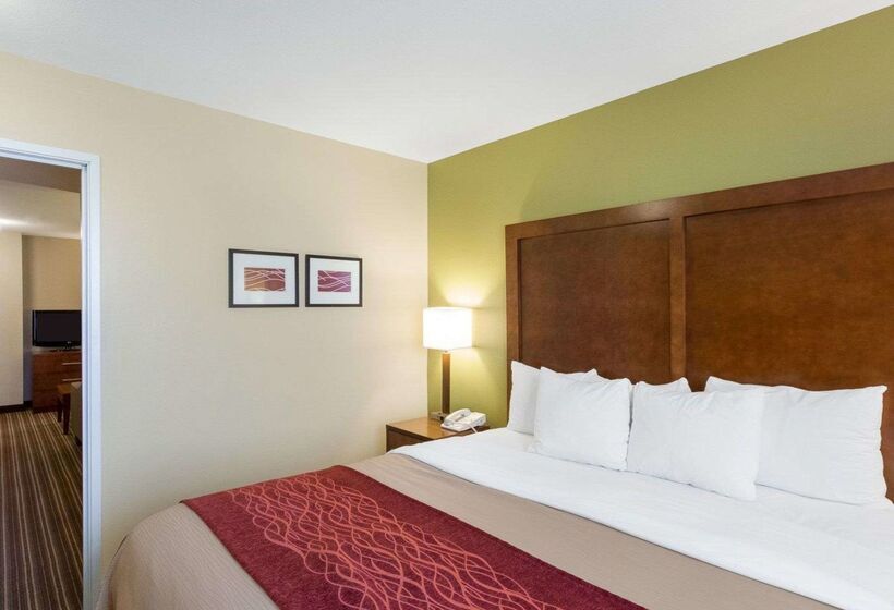 فندق Comfort Inn & Suites Fayettevilleuniversity Area