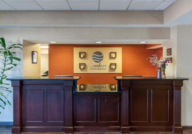 فندق Comfort Inn & Suites