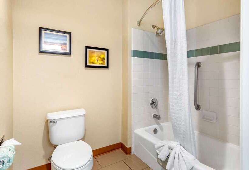 فندق Comfort Inn & Suites Lancaster Antelope Valley