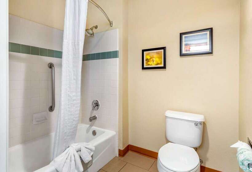 فندق Comfort Inn & Suites Lancaster Antelope Valley