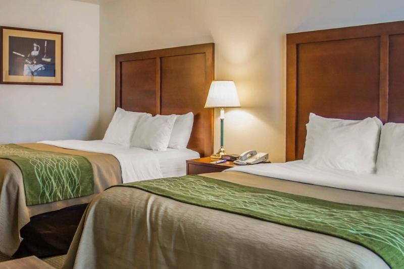 فندق Comfort Inn & Suites Lancaster Antelope Valley