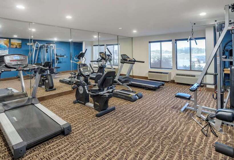 فندق Comfort Inn & Suites