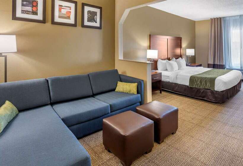 فندق Comfort Inn & Suites