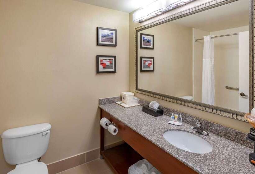 בית מלון כפרי Comfort Inn & Suites