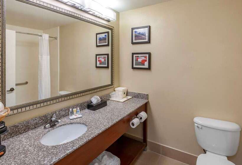 בית מלון כפרי Comfort Inn & Suites