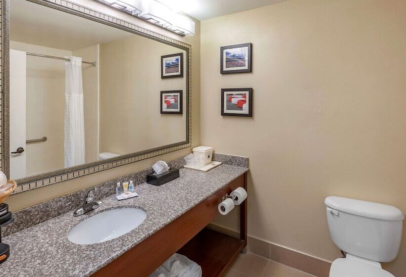 فندق Comfort Inn & Suites