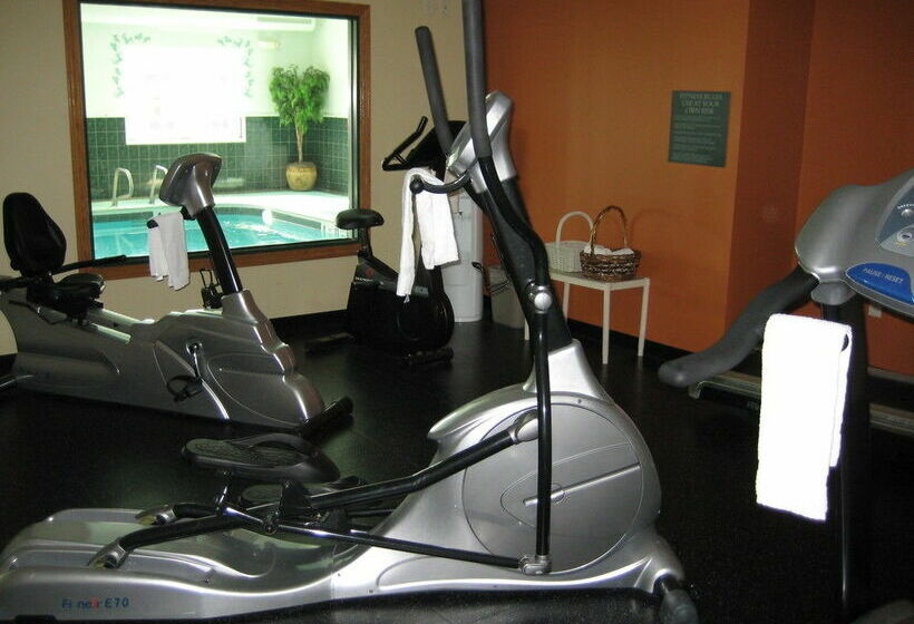 酒店 Country Inn & Suites BY Carlson Rochester South