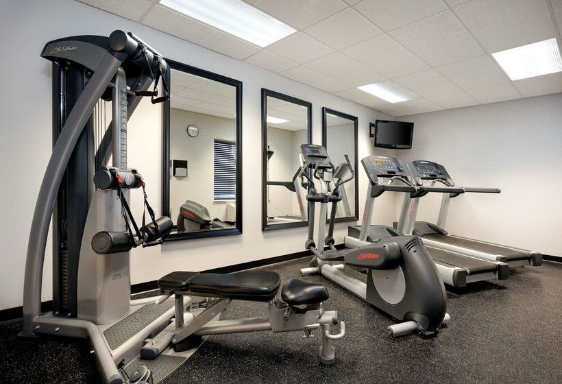 בית מלון כפרי Country Inn & Suites By Radisson, Albertville, Mn