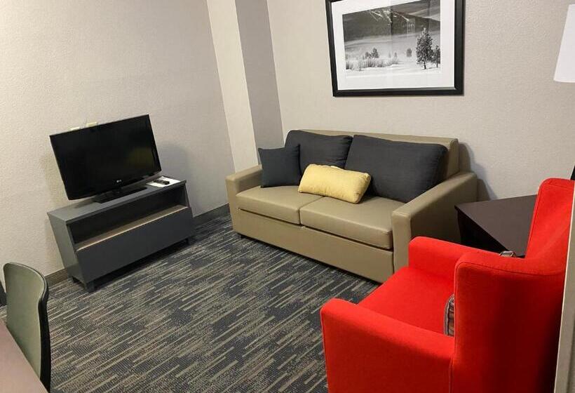 ホテル Country Inn & Suites By Radisson, Columbia Airport, Sc