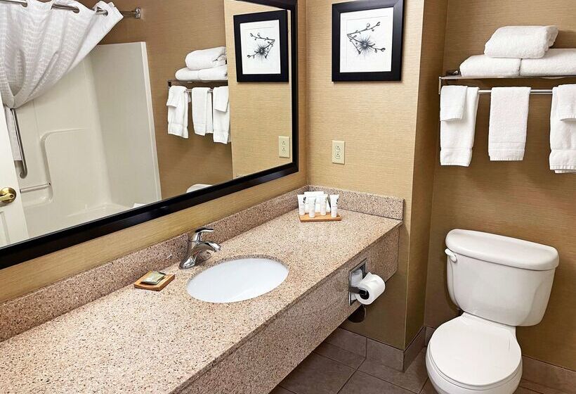 호텔 Country Inn & Suites By Radisson, Findlay, Oh