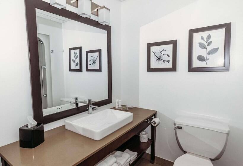 酒店 Country Inn & Suites By Radisson, Lancaster Amish Country , Pa