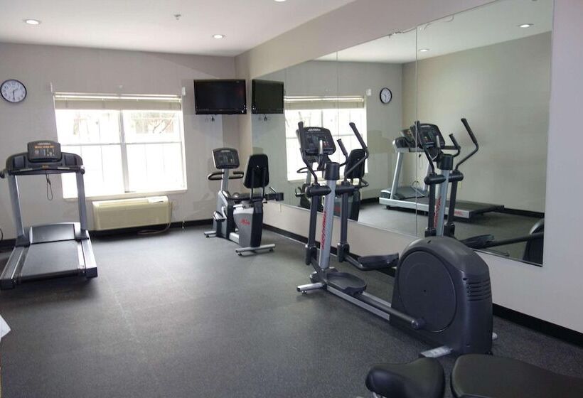 בית מלון כפרי Country Inn & Suites By Radisson, Round Rock, Tx