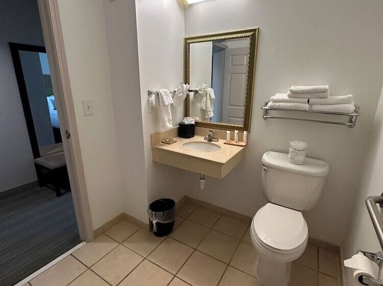 فندق Summerville Park Inn