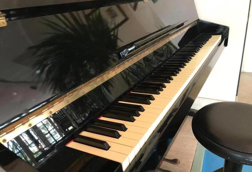 בית מלון כפרי David Palace