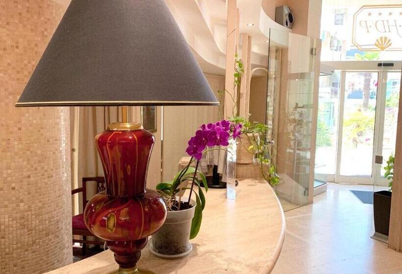 فندق David Palace
