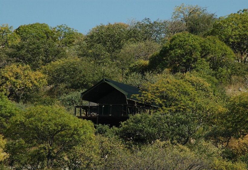 Отель Eagle Tented Lodge & Spa Etosha