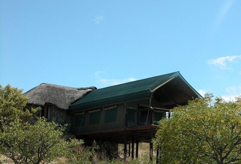Отель Eagle Tented Lodge & Spa Etosha