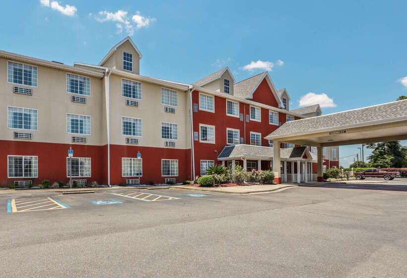호텔 Econo Lodge Inn And Suites