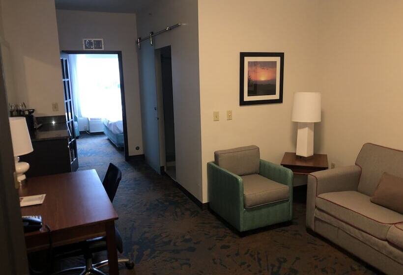 فندق Best Western Erie Inn & Suites