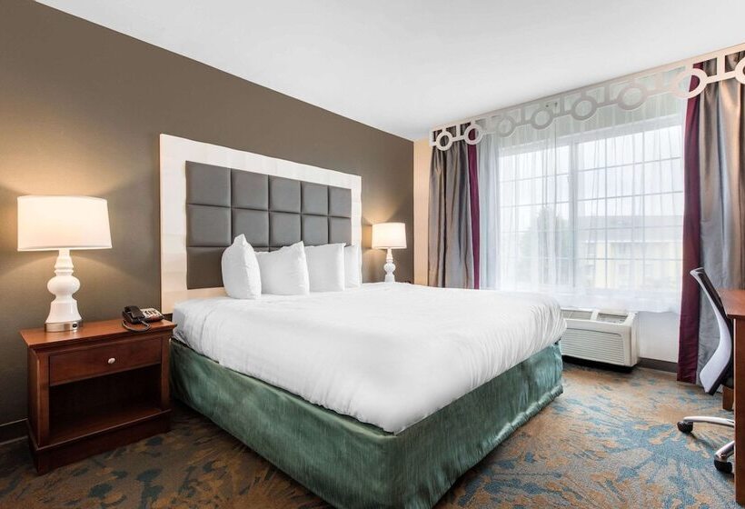 فندق Best Western Erie Inn & Suites