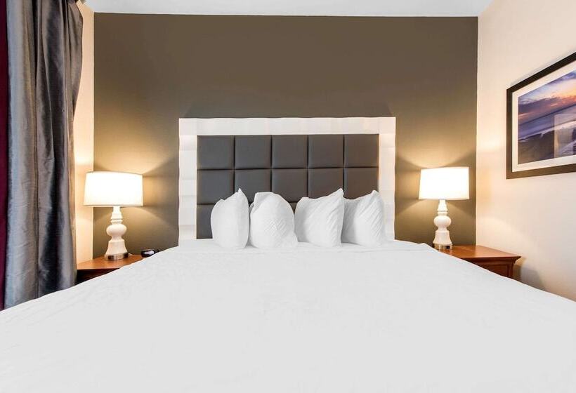 فندق Best Western Erie Inn & Suites