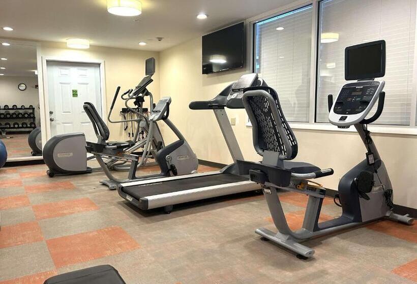 فندق Best Western Erie Inn & Suites