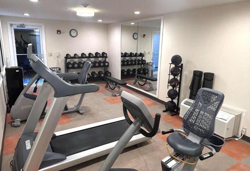 فندق Best Western Erie Inn & Suites