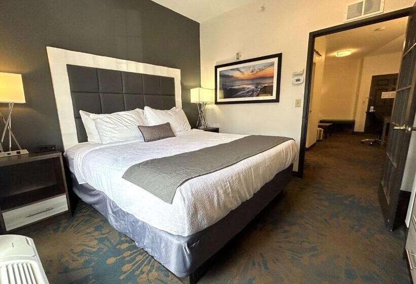 فندق Best Western Erie Inn & Suites