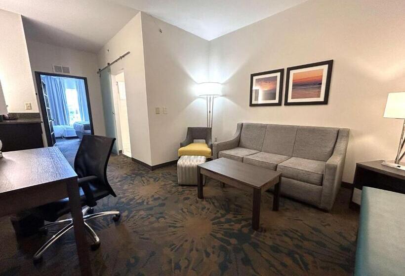 فندق Best Western Erie Inn & Suites