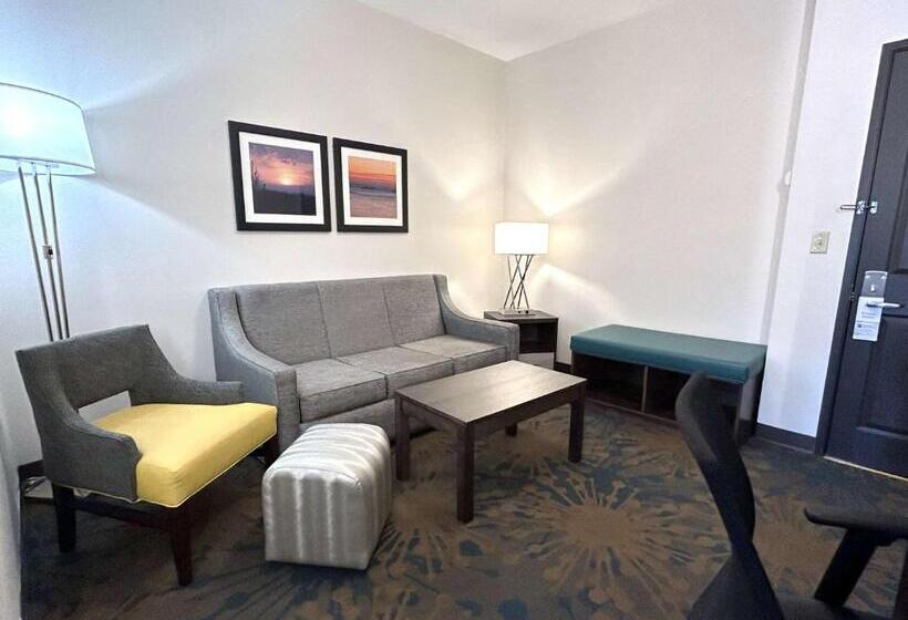 فندق Best Western Erie Inn & Suites