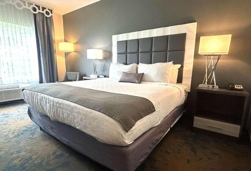 فندق Best Western Erie Inn & Suites