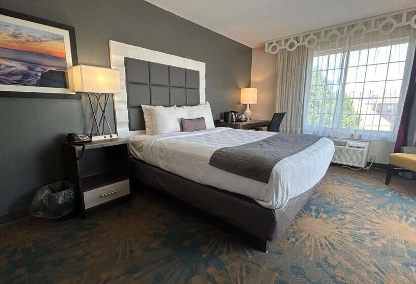 فندق Best Western Erie Inn & Suites